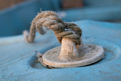 Close-up of rope tied on wood
