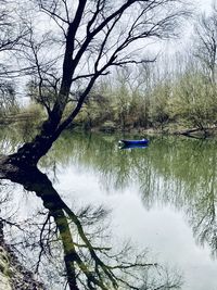 Scenic view of lake in forest during winter