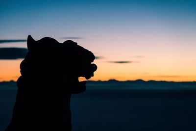 Close-up of silhouette statue against sky during sunset