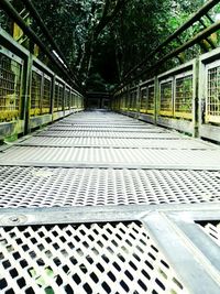 Walkway amidst trees