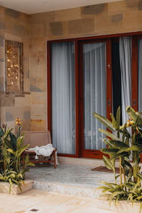 Cozy summer veranda with tropical plants and wicker chair.