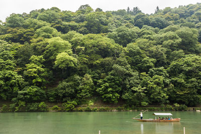 Scenic view of lake against trees in forest