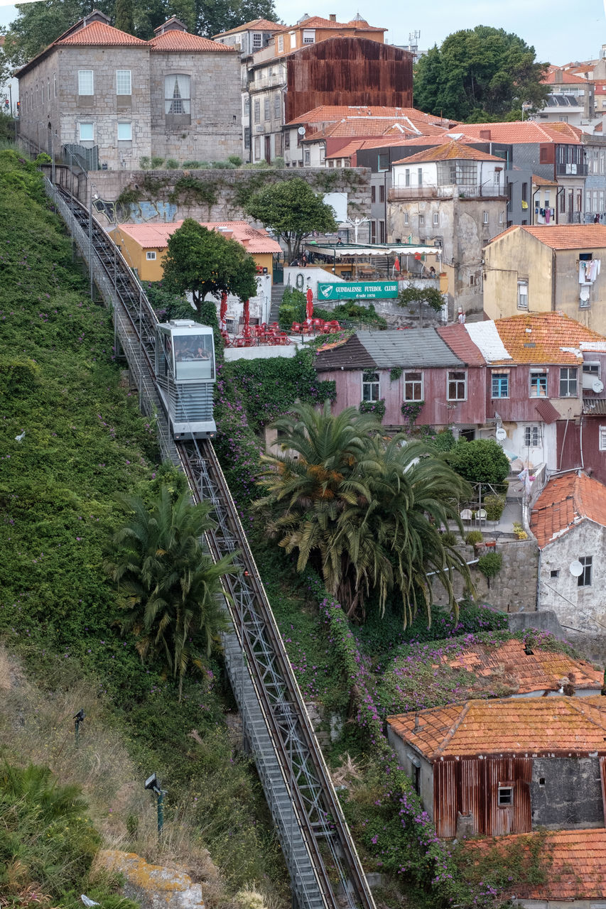 HIGH ANGLE VIEW OF TREES AND BUILDINGS IN TOWN