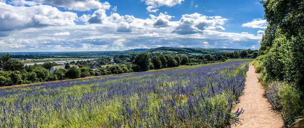 Scenic view of land against sky