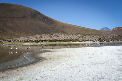 Scenic view of lake against clear blue sky