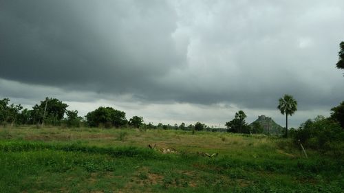 Scenic view of field against cloudy sky