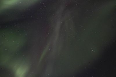 Low angle view of northern lights at night