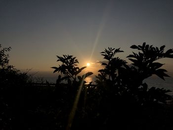 Low angle view of silhouette trees against sky during sunset