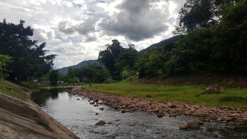 Scenic view of river stream amidst trees against sky