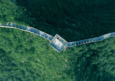 High angle view of horse cart on road amidst trees