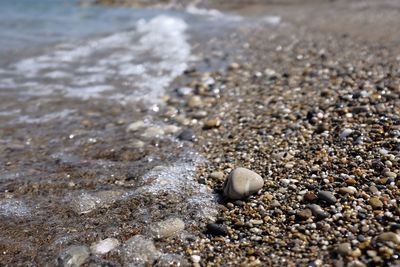 Close-up of shells on beach