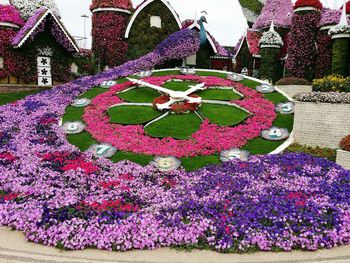 View of flowering plants in garden