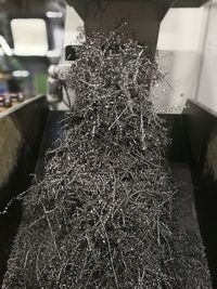 Close-up of christmas tree