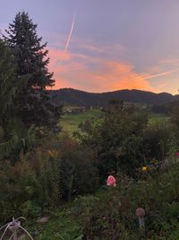 Scenic view of field against sky during sunset