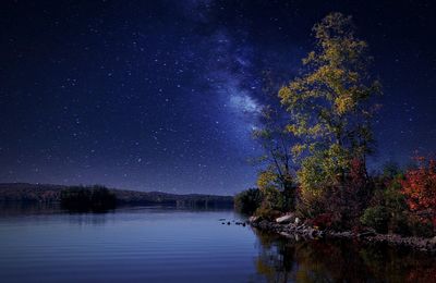 Scenic view of lake and trees against sky at night