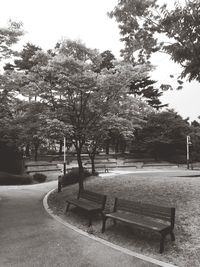 Empty bench in park