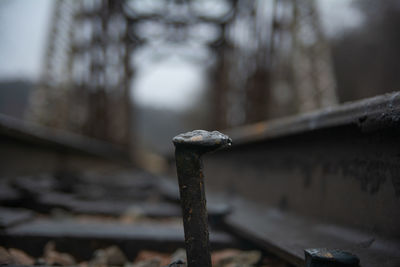 Close-up of rusty metal fence against blurred background