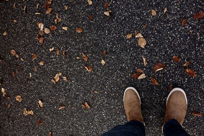 Low section of man standing on autumn leaves