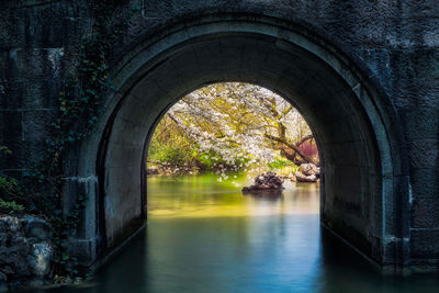 Arch bridge over pond