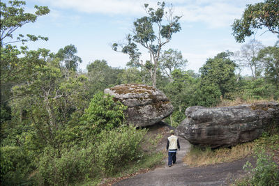 Rear view of man walking on street amidst trees against sky