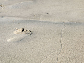 High angle view of footprint on sand at beach