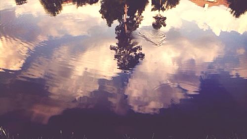 Reflection of trees in water at sunset