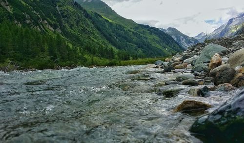 Scenic view of stream amidst trees against sky