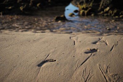 High angle view of footprints on sand