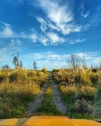 Road passing through field