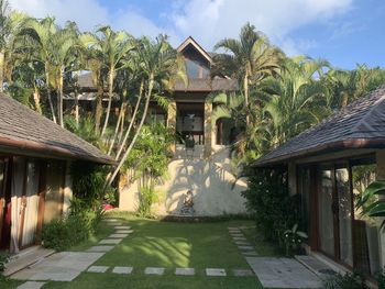 Palm trees and houses against sky