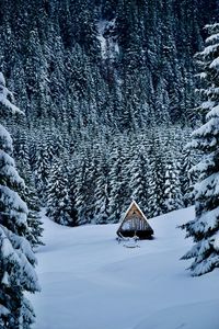 Scenic view of snow covered mountain