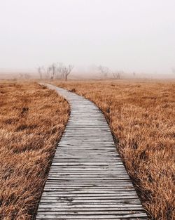 Boardwalk on field against sky