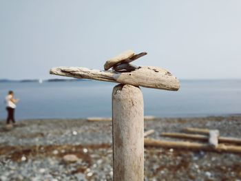 Close-up of driftwood on beach against clear sky