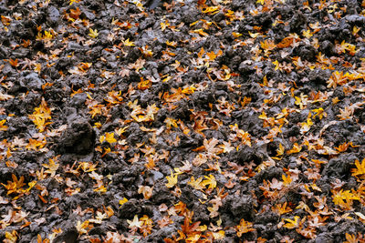 Full frame shot of stones