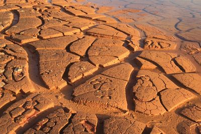 High angle view of mud in desert