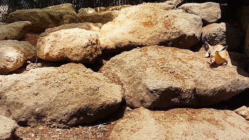 Close-up of rocks