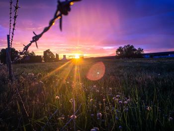 Scenic view of field against sky during sunset