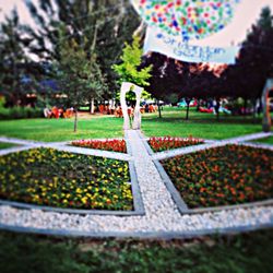 park - man made space