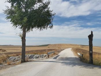 Empty road amidst trees against sky