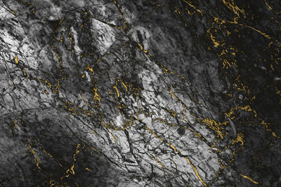 soil