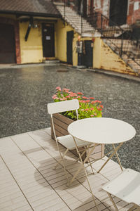 Potted plant on sidewalk cafe against building