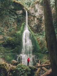 Scenic view of waterfall in forest