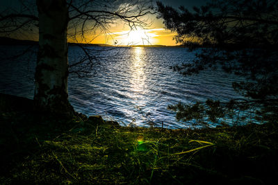 Scenic view of lake at sunset