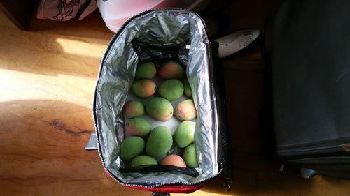 Directly above shot of mango fruits in bag