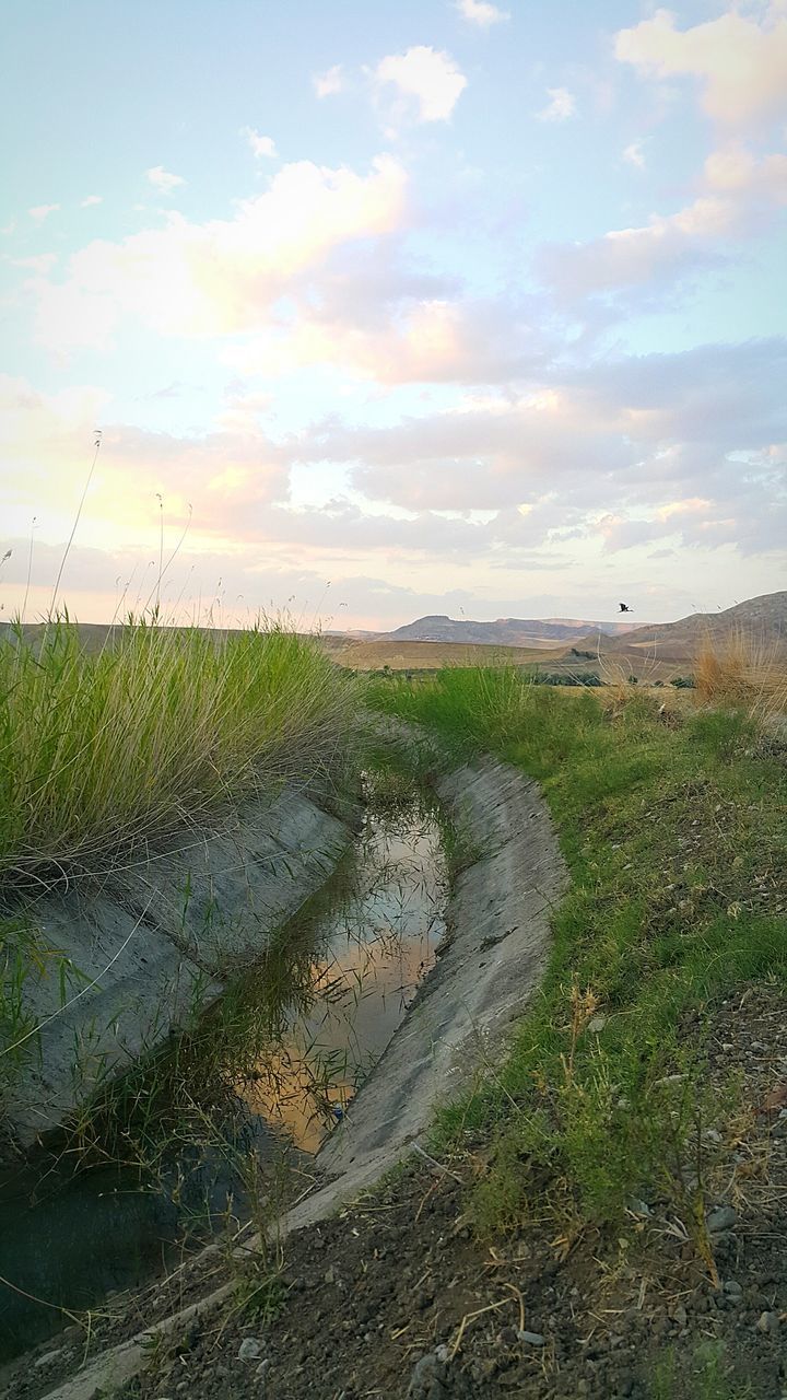 grass, tranquil scene, scenics, nature, tranquility, sky, beauty in nature, no people, cloud - sky, landscape, outdoors, field, growth, water, day