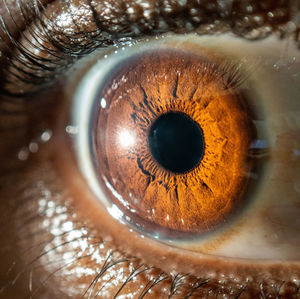 Close up of african american mans dark brown eyes for use in ophthalmology optometry imagery