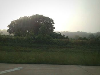 Scenic view of grassy field against sky