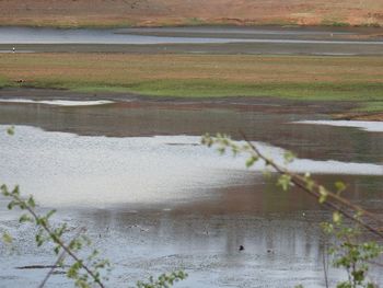 Scenic view of lake