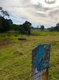 Scenic view of field against sky