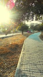 Sun shining through trees on sunny day